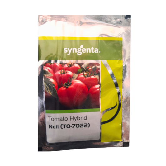Neil (TO-7022) Tomato Seeds - Syngenta | F1 Hybrid | Buy Online at Best Price