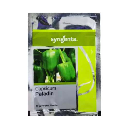 Paladin Capsicum Seeds - Syngenta | F1 Hybrid | Buy Online at Best Price
