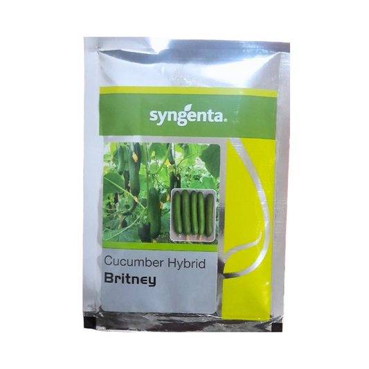 Britney Cucumber Seeds - Syngenta | F1 Hybrid | Buy Online at Best Price