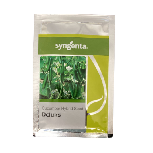 Deluks Cucumber Seeds -Syngenta | F1 Hybrid | Buy Online at Best Price