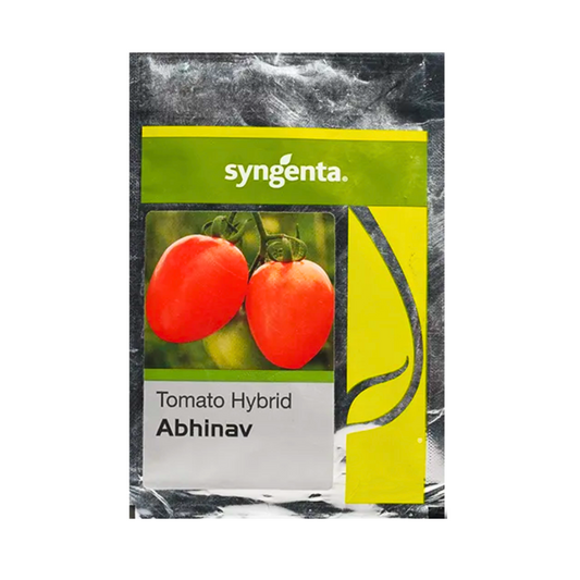 Abhinav Tomato Seeds - Syngenta | F1 Hybrid | Buy Online at Best Price