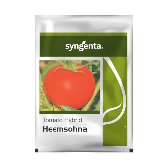 Heemsohna Tomato Seeds - Syngenta | F1 Hybrid | Buy Online at Best Price