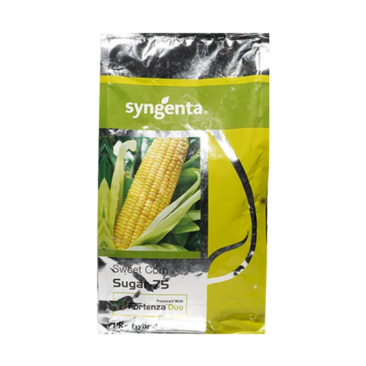 Sugar 75 Sweet Corn Seeds - Syngenta | F1 Hybrid | Buy Online at Best Price