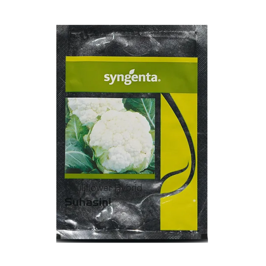 Suhasini Cauliflower Seeds - Syngenta | F1 Hybrid | Buy Online at Best Price