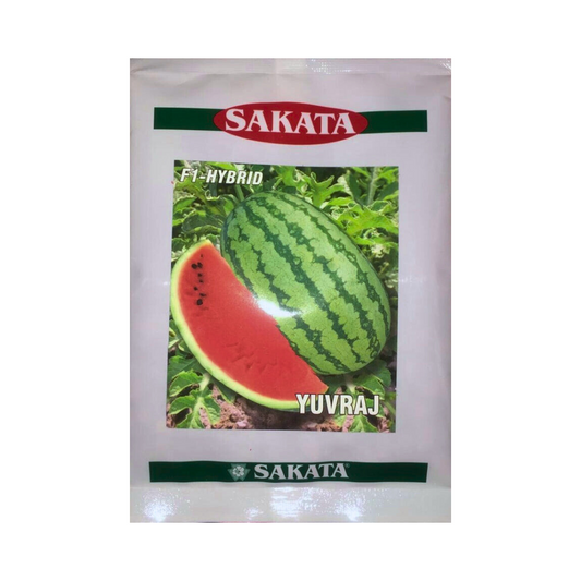 Yuvraj Watermelon Seeds - Sakata | F1 Hybrid | Buy Online at Best Price