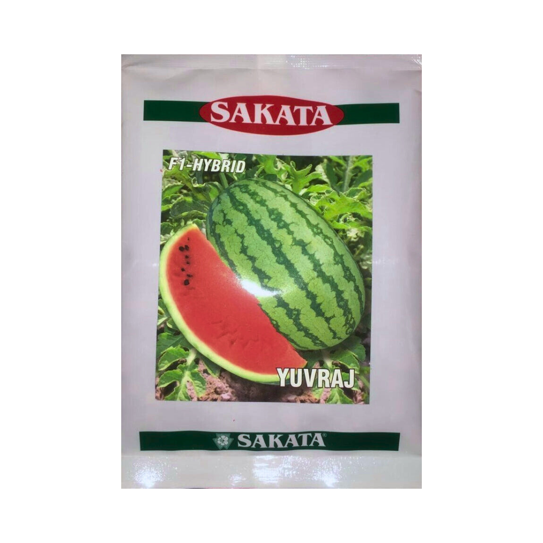 Yuvraj Watermelon Seeds - Sakata | F1 Hybrid | Buy Online at Best Price