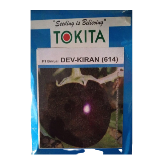 Dev-Kiran (614) Brinjal Seeds - Tokita | F1 Hybrid | Buy Online at Best Price