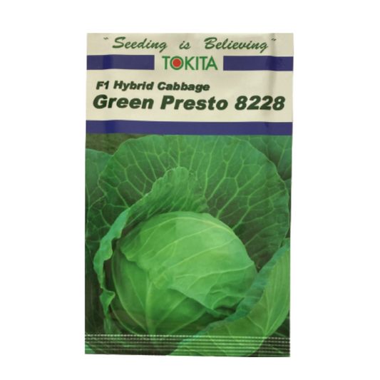 Green Presto Cabbage Seeds - Tokita | F1 Hybrid | Buy Online at Best Price