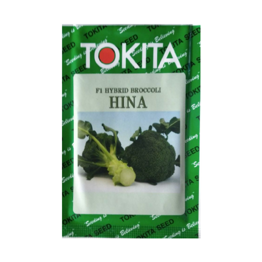 Hina Broccoli Seeds - Tokita | F1 Hybrid | Buy Online at Best Price