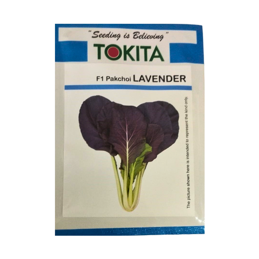 Lavender Purple Pakchoi Seeds - Tokita | F1 Hybrid | Buy Online at Best Price