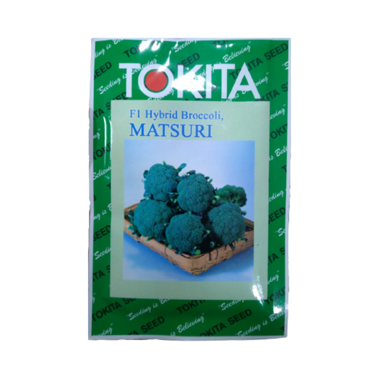 Matsuri Broccoli Seeds - Tokita | F1 Hybrid | Buy Online at Best Price