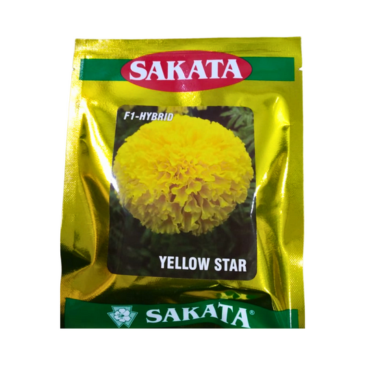 Yellow Star Marigold Seeds - Sakata | F1 Hybrid | Buy Online at Best Price