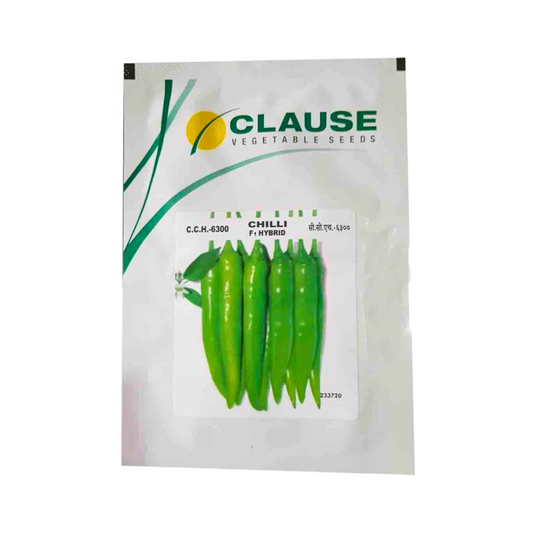 C.C.H.-6300 Chilli Seeds | Buy Online At Best Price