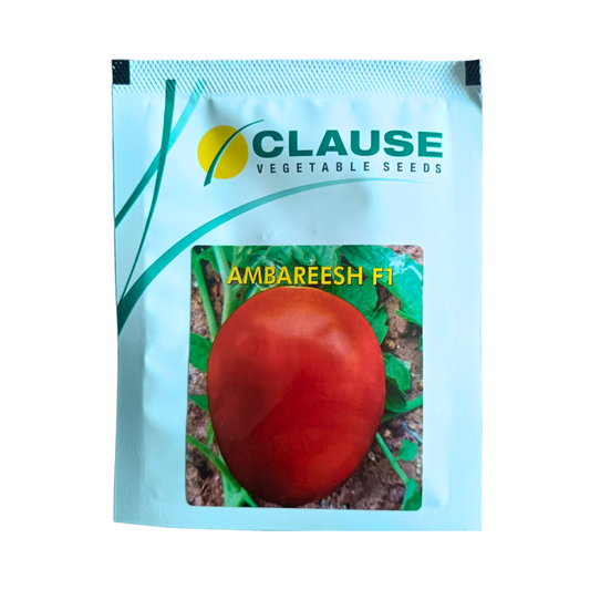 Ambareesh Tomato Seeds - HM Clause | F1 Hybrid | Buy Online at Best Price