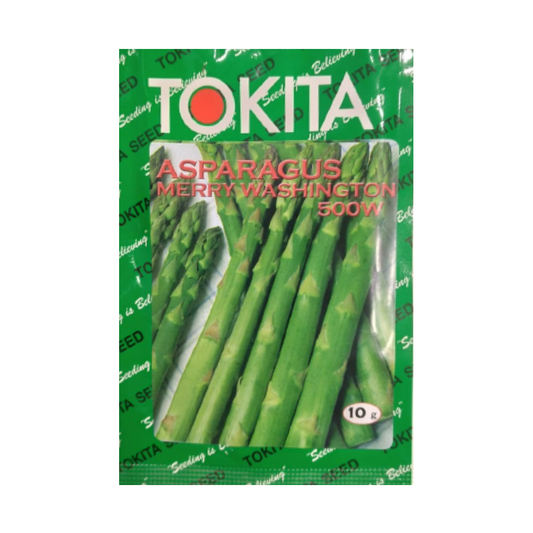 Merry Washington Asparagus (500W) Seeds - Tokita | F1 Hybrid | Buy Online at Best Price