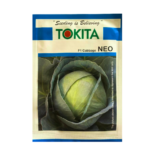 Neo Cabbage Seeds - Tokita | F1 Hybrid | Buy Online at Best Price