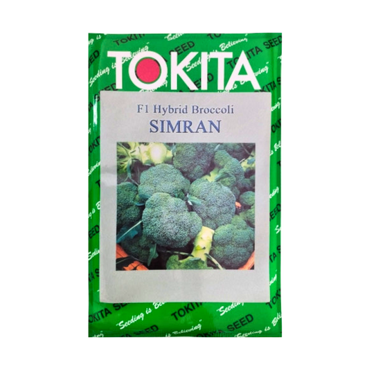 Simran Broccoli Seeds - Tokita | F1 Hybrid | Buy Online at Best Price