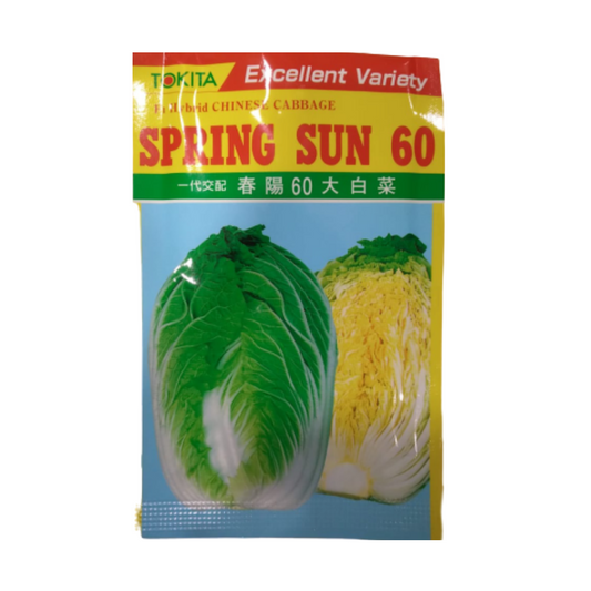 Spring Sun 60 Chinese Cabbage Seeds - Tokita | F1 Hybrid | Buy Online at Best Price