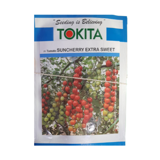 Suncherry Extra Sweet Cherry Tomato Seeds - Tokita | F1 Hybrid | Buy Online at Best Price