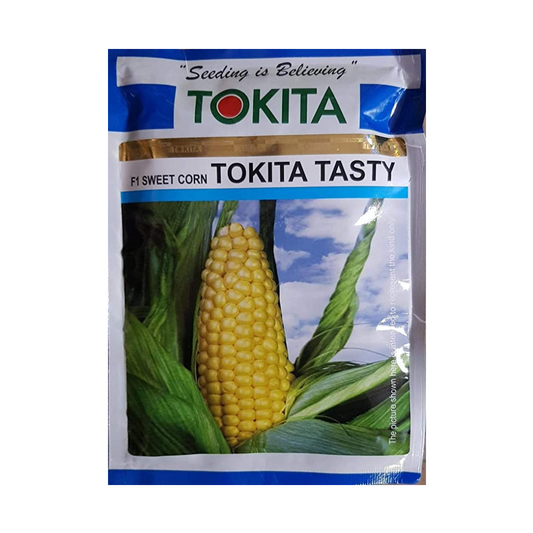 Tasty Sweet Corn Seeds - Tokita | F1 Hybrid | Buy Online at Best Price