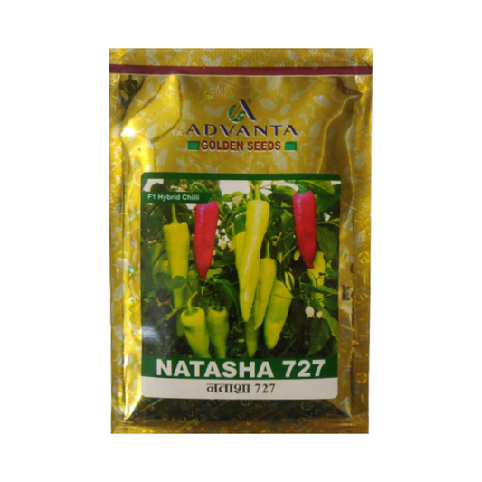 Natasha 727 Chilli Seeds - Advanta | F1 Hybrid | Buy Online at Best Price