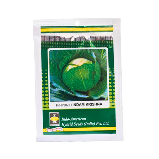 Indam Krishna Cabbage Seeds - Indo American | F1 Hybrid | Buy Online at Best Price
