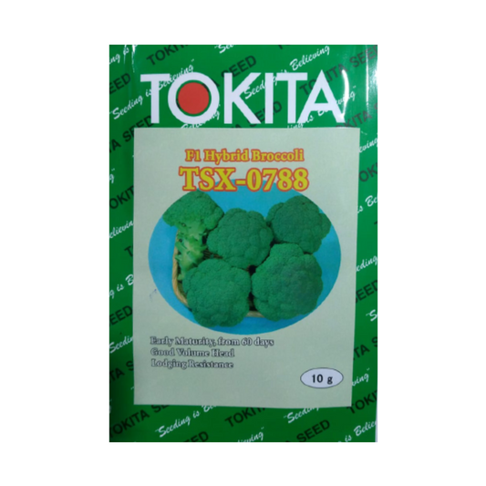 TSX - 0788 Broccoli Seeds - Tokita | F1 Hybrid | Buy Online at Best Price