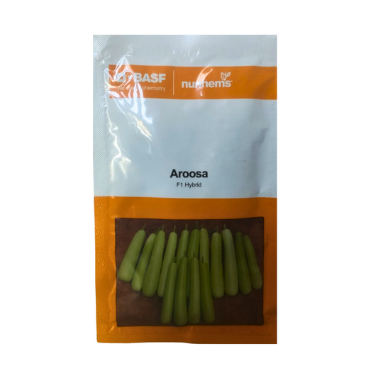 Aroosa Bottle Gourd Seeds - Nunhems | F1 Hybrid | Buy Online at Best Price