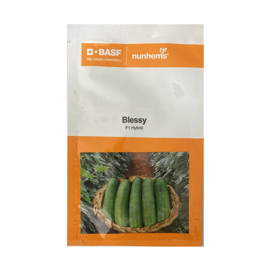 Blessy Cucumber Seeds - Nunhems | F1 Hybrid | Buy Online at Best Price