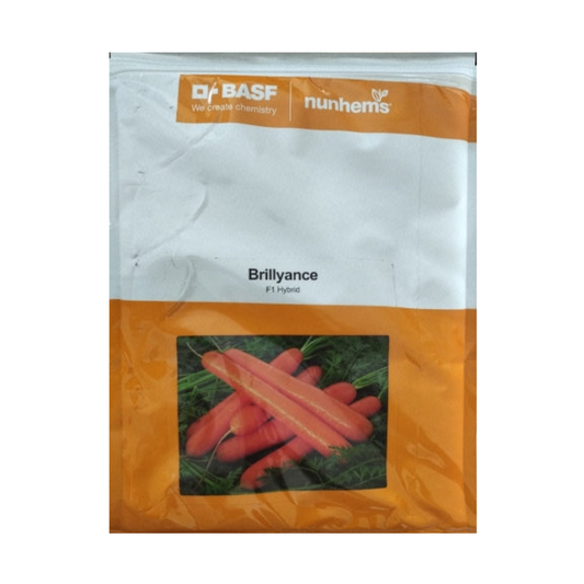 Brillyance Nantes Carrot Seeds - Nunhems | F1 Hybrid | Buy Online at Best Price