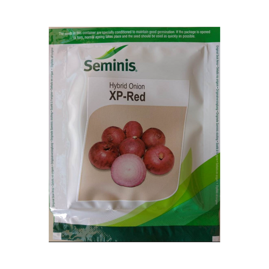 XP Red Onion Seeds - Seminis | F1 Hybrid | Buy Online at Best Price