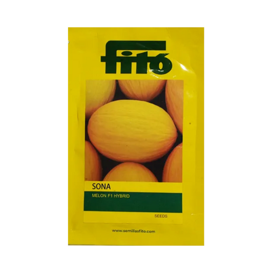 Sona Musk Melon Seeds - Fito | F1 Hybrid | Buy Online at Best Price