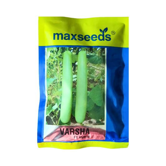 Varsha Bottle Gourd Seeds - Max | F1 Hybrid | Buy Online at Best Price