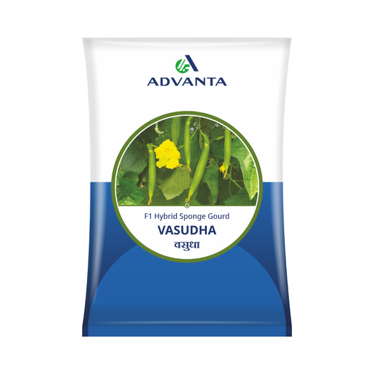 Vasudha Sponge Gourd Seeds - Advanta | F1 Hybrid | Buy Online at Best Price