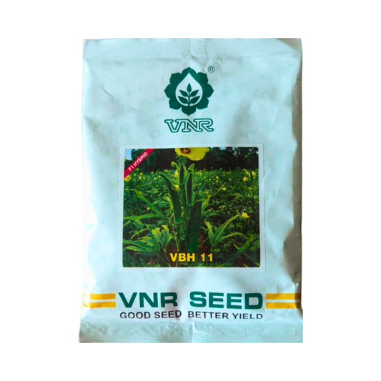 VBH 11 Bhindi Seeds - VNR | F1 Hybrid | Buy Online at Best Price
