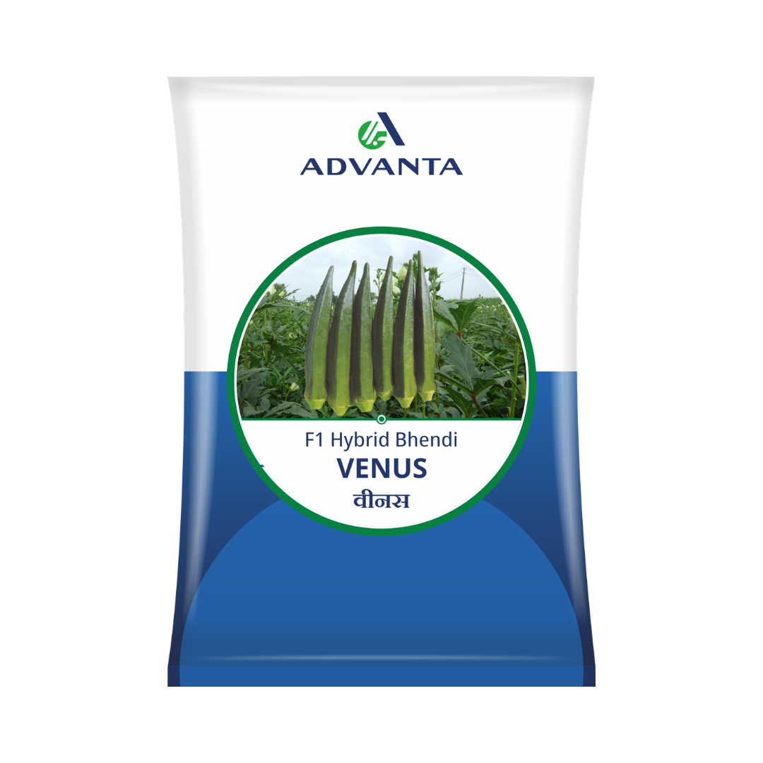 Venus Bhendi Seeds - Advanta | F1 Hybrid | Buy Online at Best Price