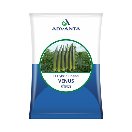Venus Bhendi Seeds - Advanta | F1 Hybrid | Buy Online at Best Price