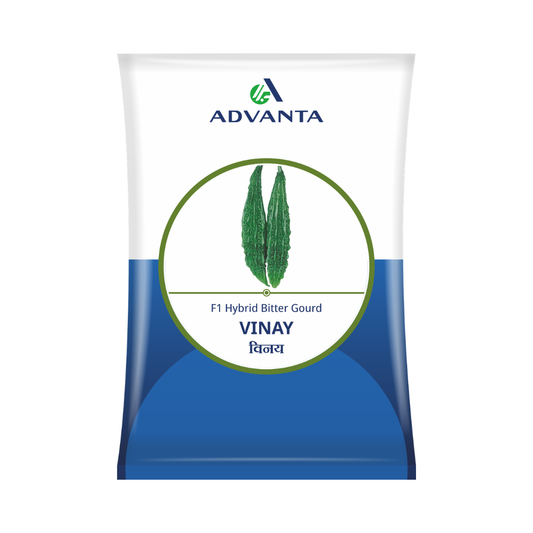 Vinay Bitter Gourd Seeds - Advanta | F1 Hybrid | Buy Online Now