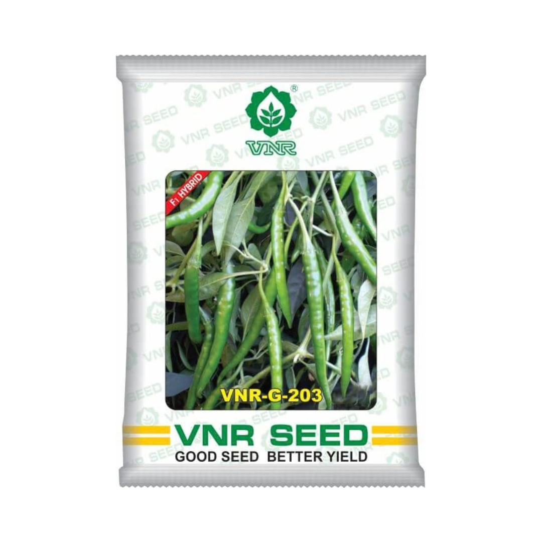 VNR-G-203 Chilli Seeds - VNR | F1 Hybrid | Buy Online at Best Price