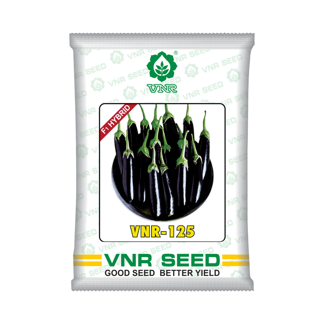 VNR-125 Brinjal Seeds - VNR | F1 Hybrid | Buy Online at Best Price Now