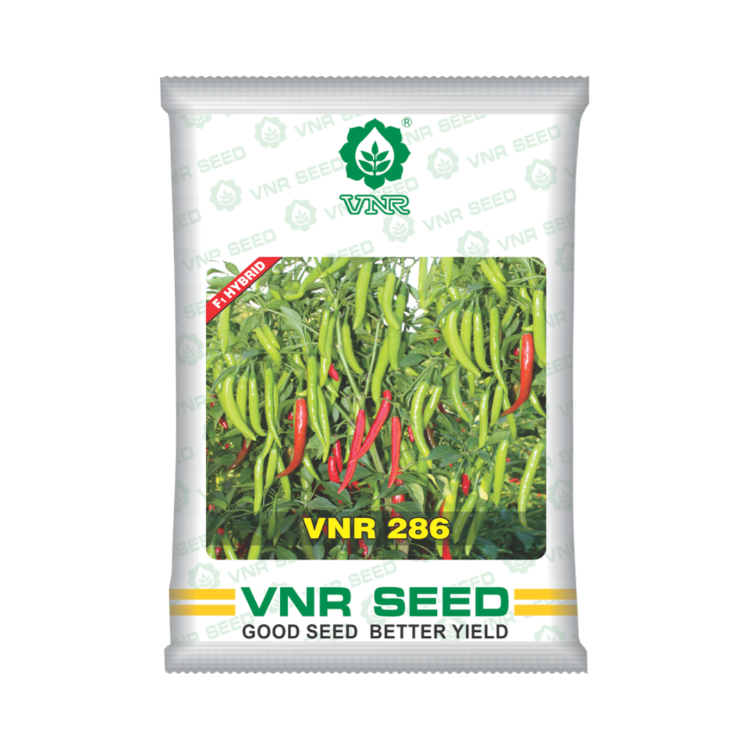 VNR-286 Chilli Seeds | F1 Hybrid Mirchi | Buy Online at Best Price Now