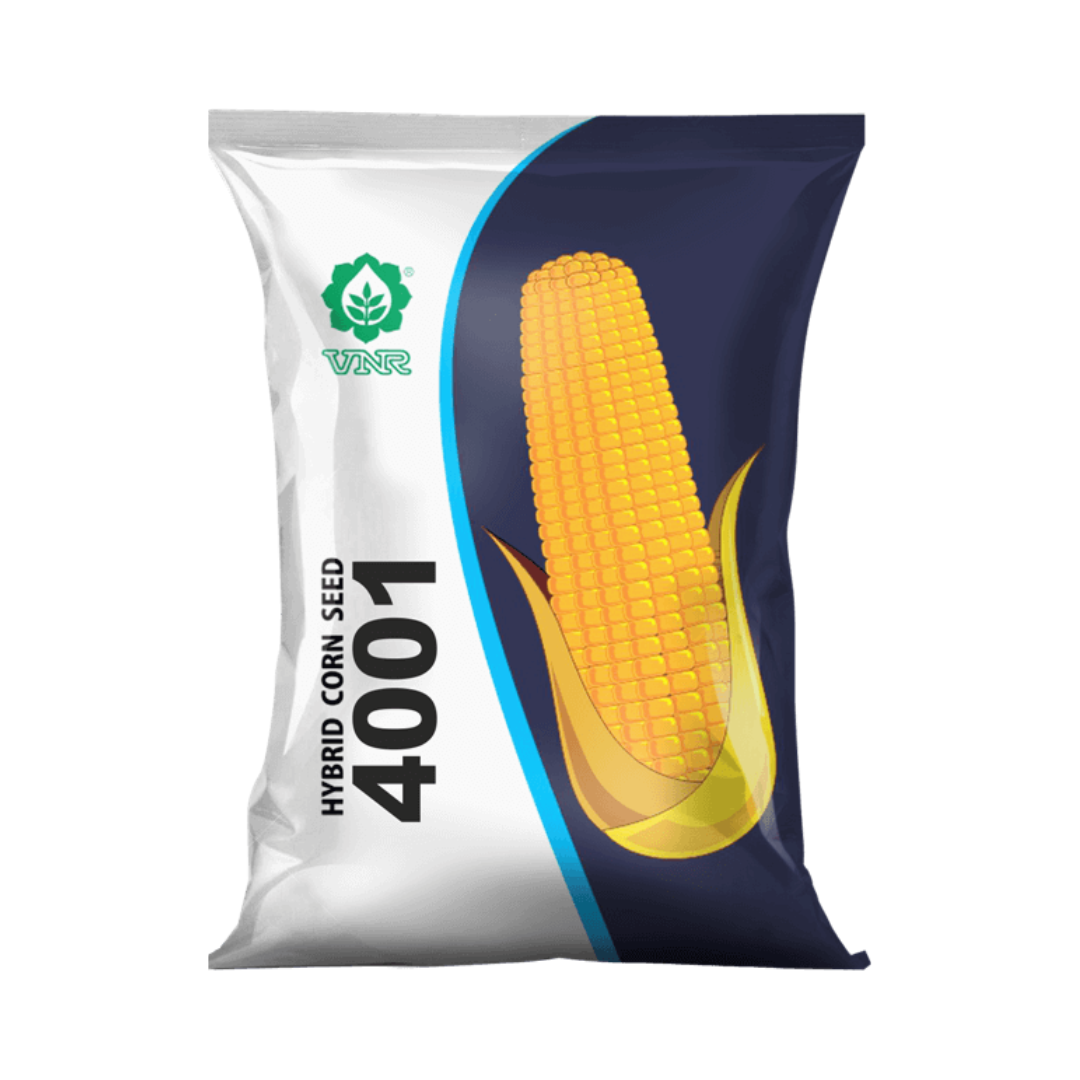 VNR 4001 Maize Seeds | F1 Hybrid | Buy Online at Best Price - DesiKheti