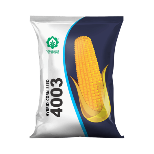 VNR 4003 Maize Seeds | F1 Hybrid | Buy Online at Best Price - DesiKheti