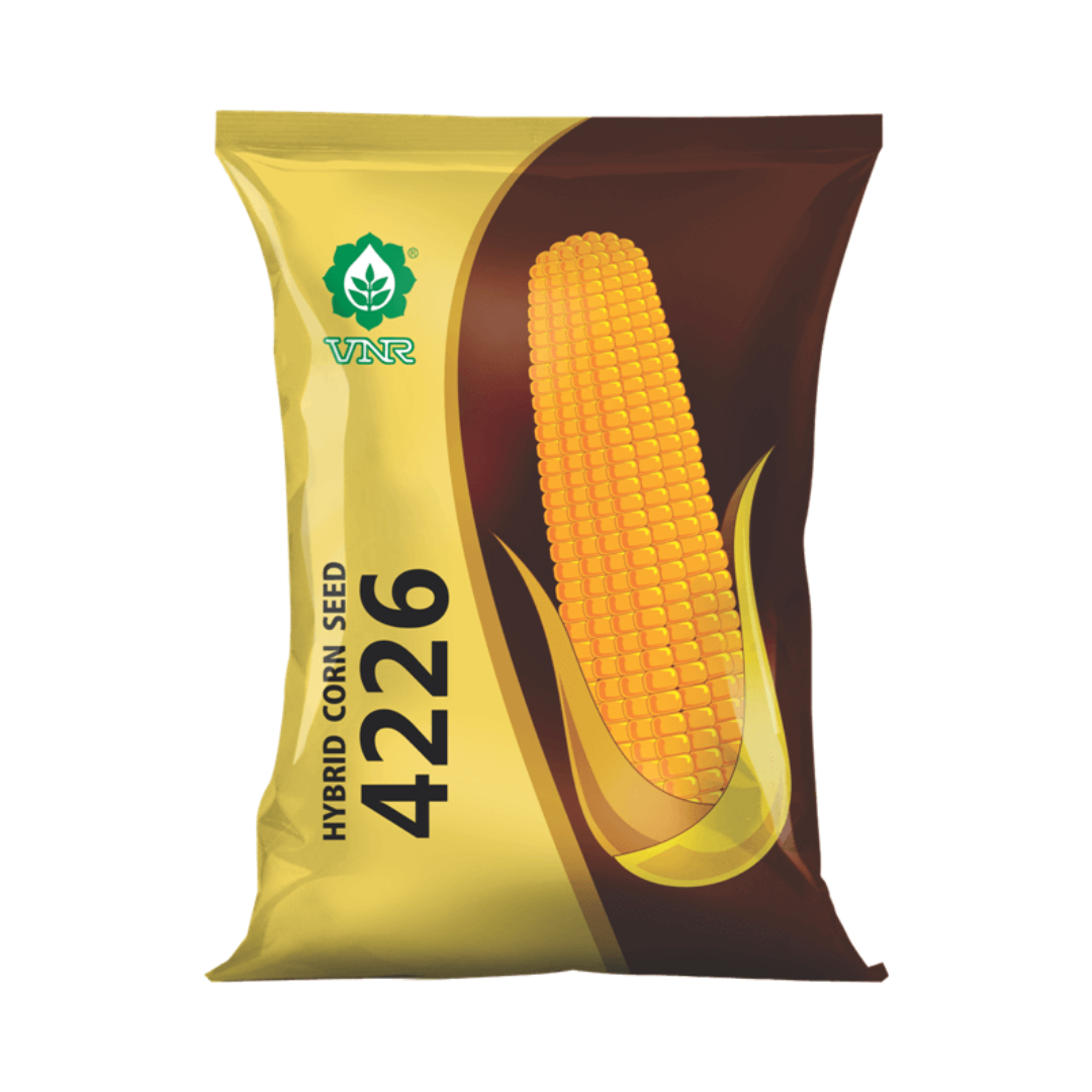 VNR 4226 Maize Seeds | F1 Hybrid | Buy Online at Best Price - DesiKheti