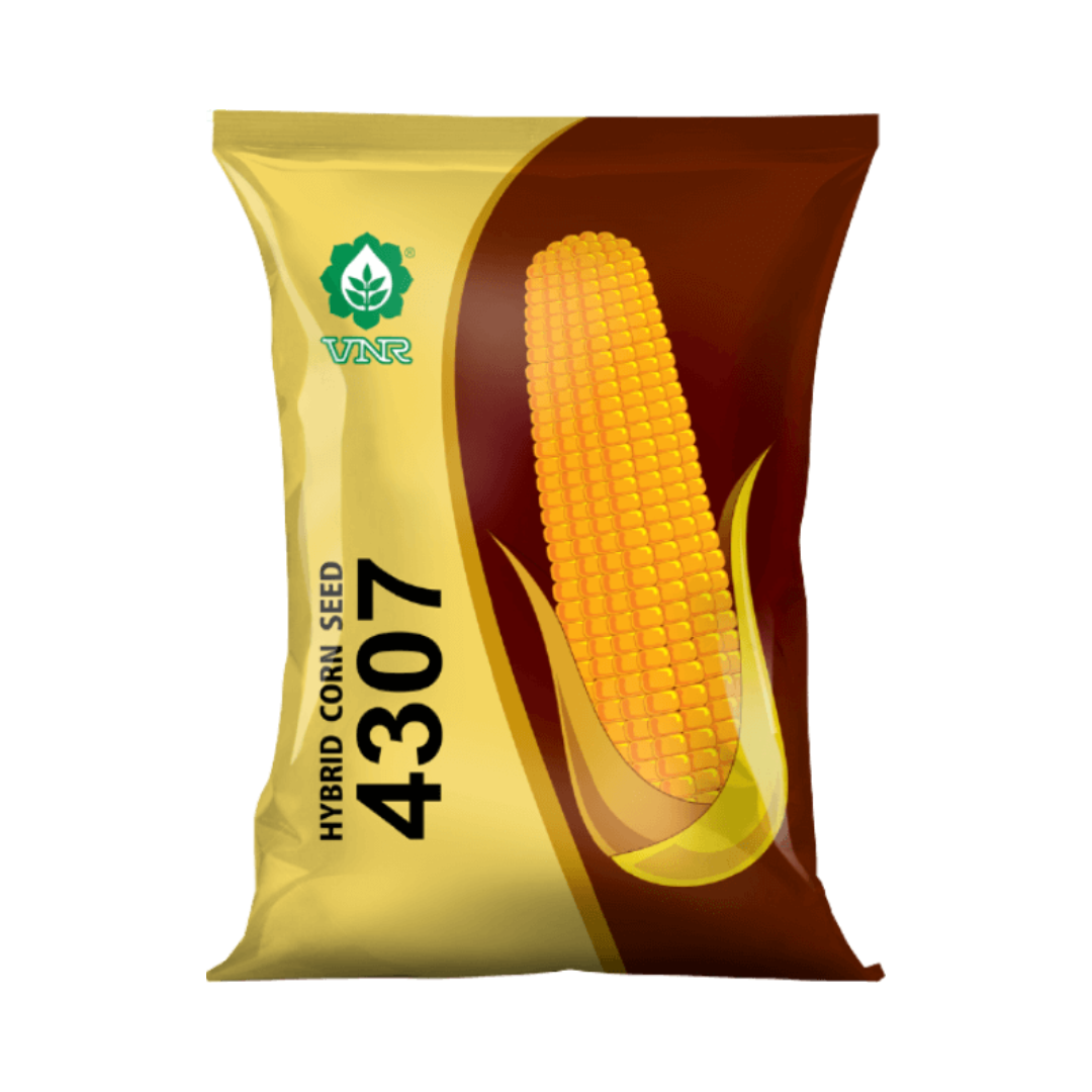 VNR 4307 Maize Seeds | F1 Hybrid | Buy Online at Best Price - DesiKheti