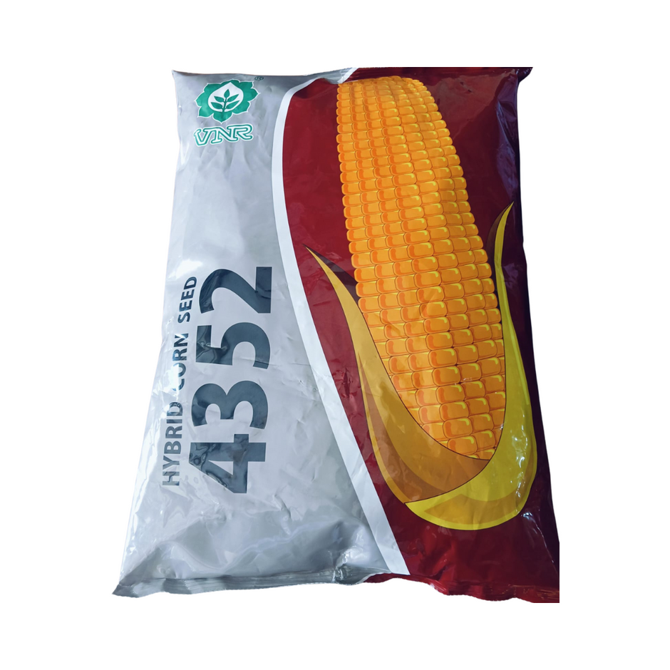 Buy Maize Seeds Online in India at Best Price from Trusted Brands ...