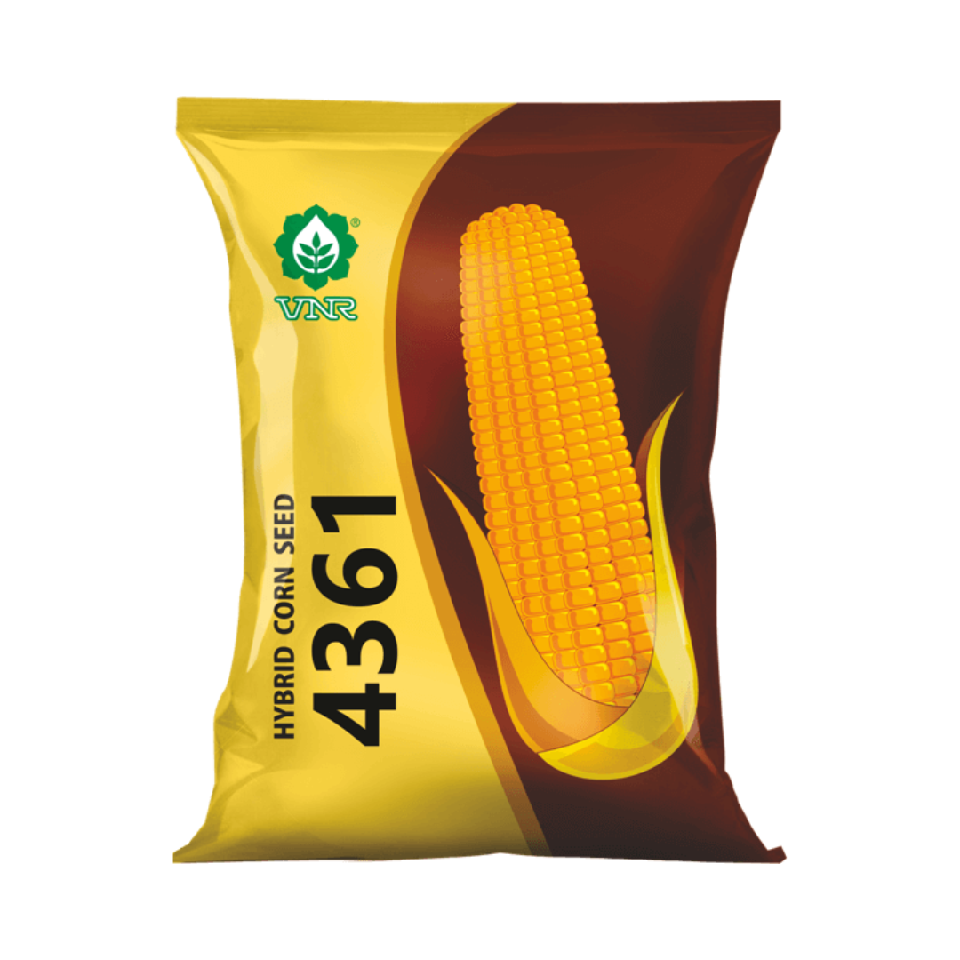VNR 4361 Maize Seeds | F1 Hybrid | Buy Online at Best Price - DesiKheti