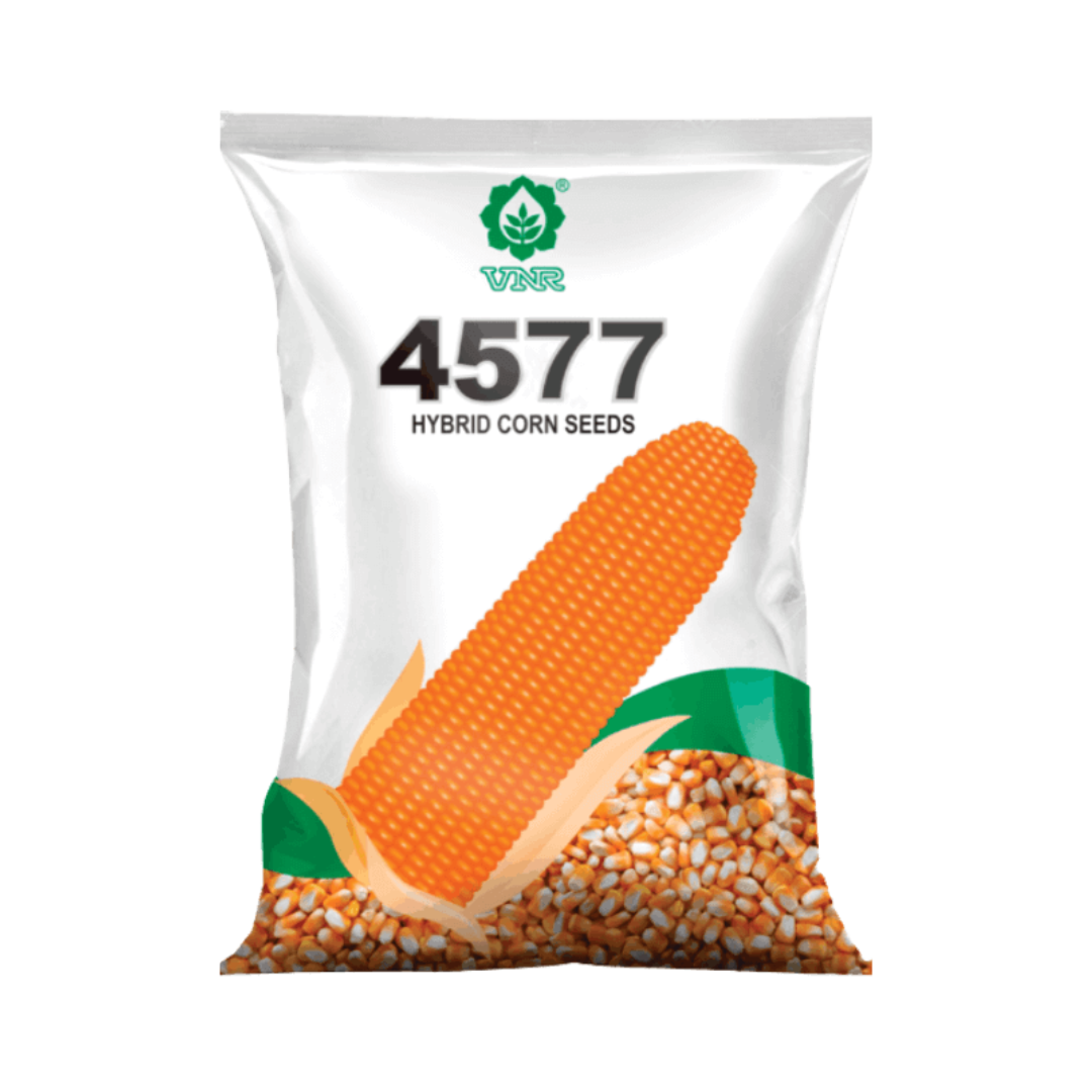 VNR 4577 Maize Seeds | F1 Hybrid | Buy Online at Best Price - DesiKheti