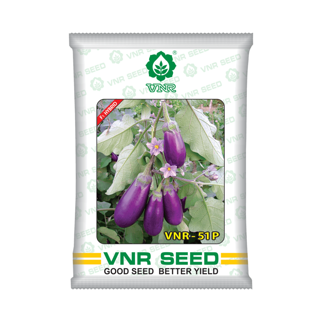 VNR 51P Brinjal Seeds - VNR | F1 Hybrid | Buy Online at Best Price Now