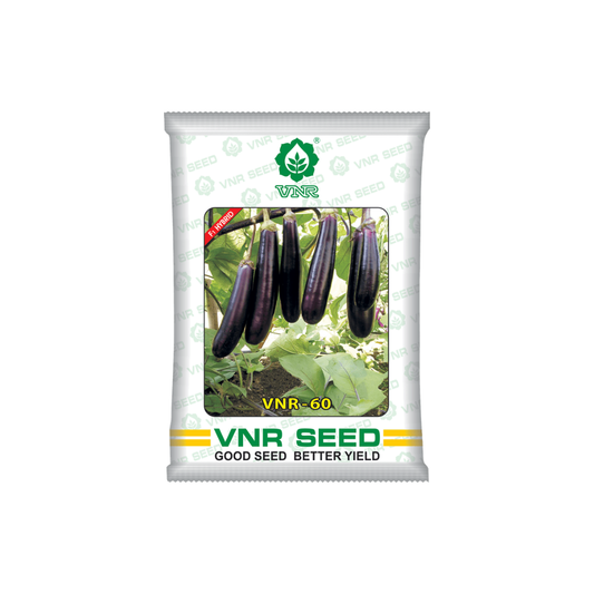VNR 60 Brinjal Seeds - VNR | F1 Hybrid | Buy Online at Best Price Now